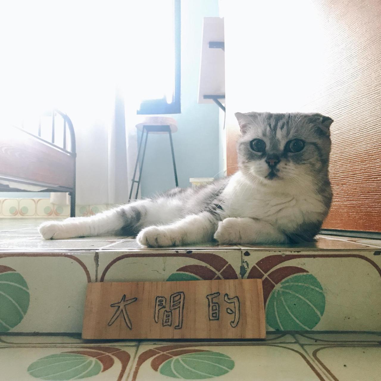 A Fat At Home Тайнан Екстериор снимка