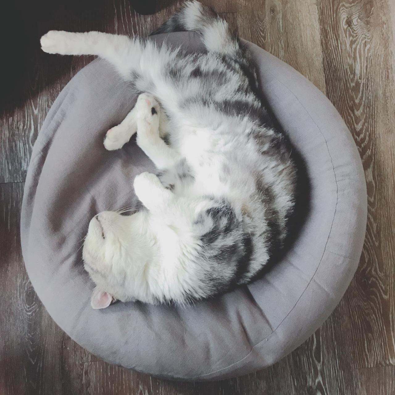 A Fat At Home Тайнан Екстериор снимка